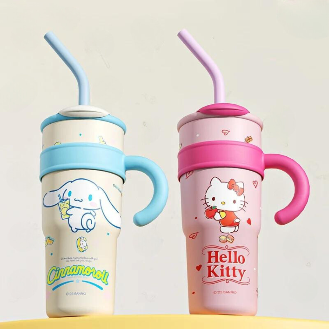 Insulated Water Bottle